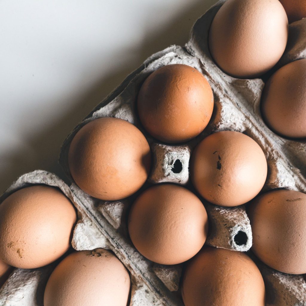 fun facts about eggs