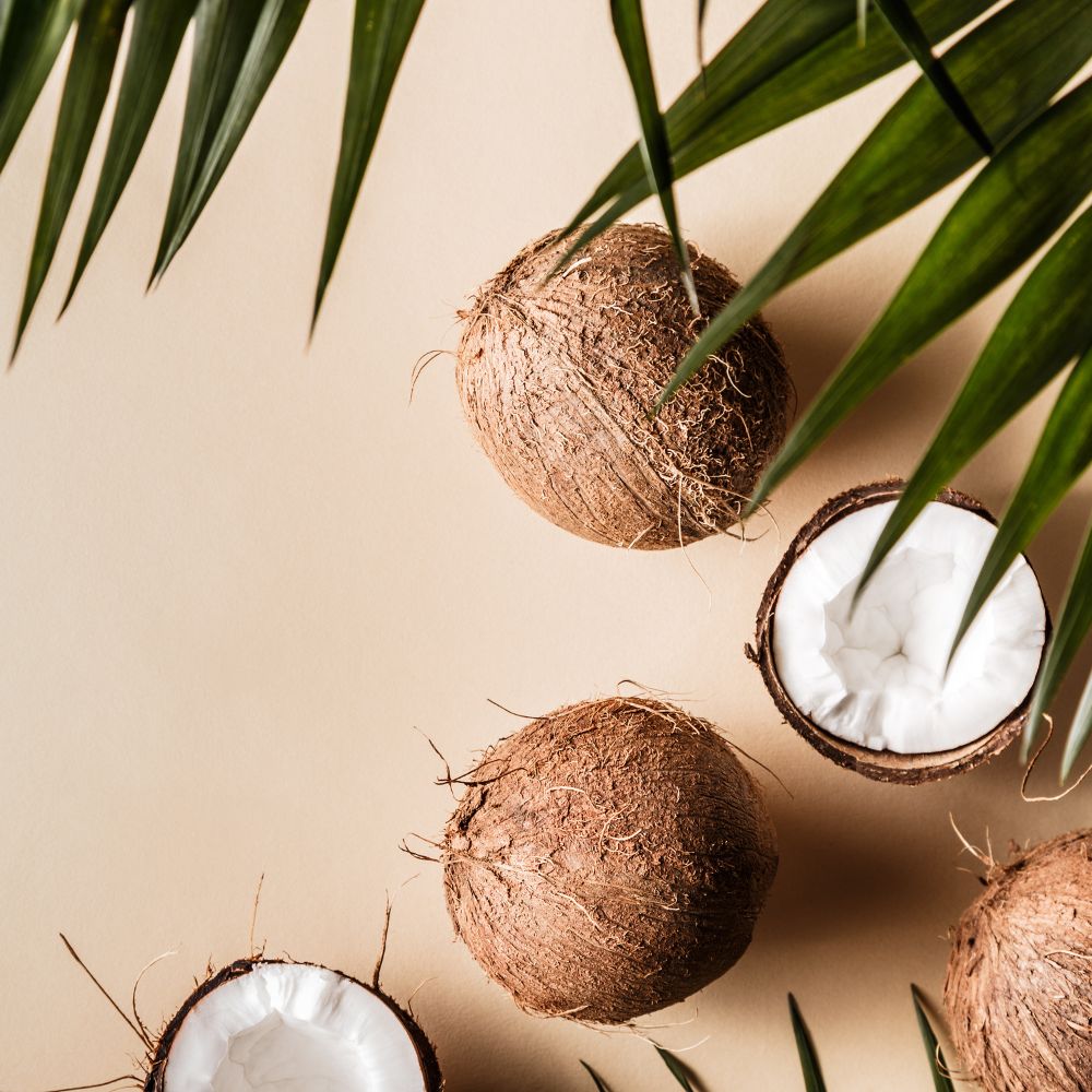 top health benefits of coconuts